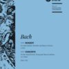Concerto in C minor, BWV 1060 - harpsichord/piano 1