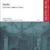 Sonata in D major for viola d'amore & bc