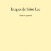 Suite in G minor (Saint Luc)