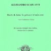 Recit. & Aria: Se geloso è il mio core from Endimione e Cintia