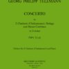 Concerto in D minor for 2 clarinets, strings & bc
