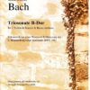 Triosonata B-Dur: Brandenburgisches Konzert Nr. 6