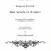 Trio Sonata in A minor